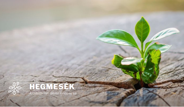 Útjára indult a Hegmesék blog